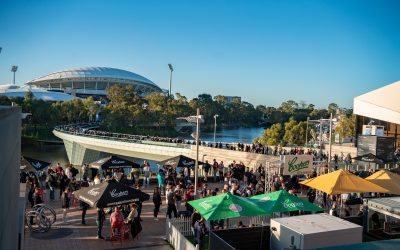 The Paddock – Your Official Rugby Fan Zone